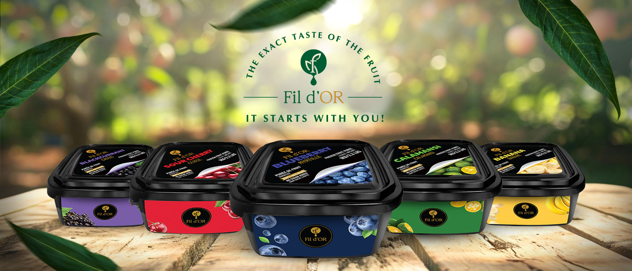 Fildor Fruits
